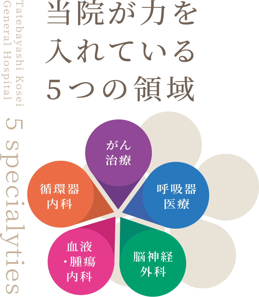 当院が力を入れている5つの領域
